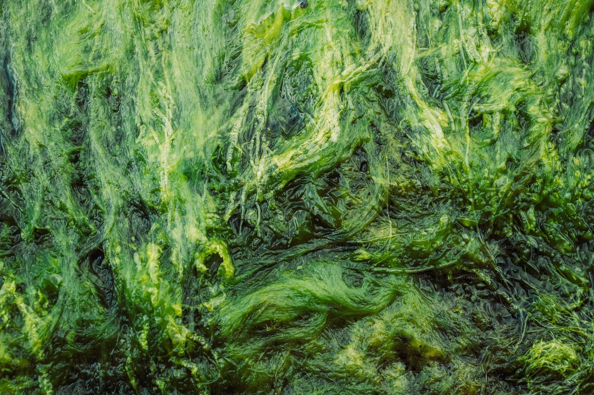 Green biological material representing circular resources
